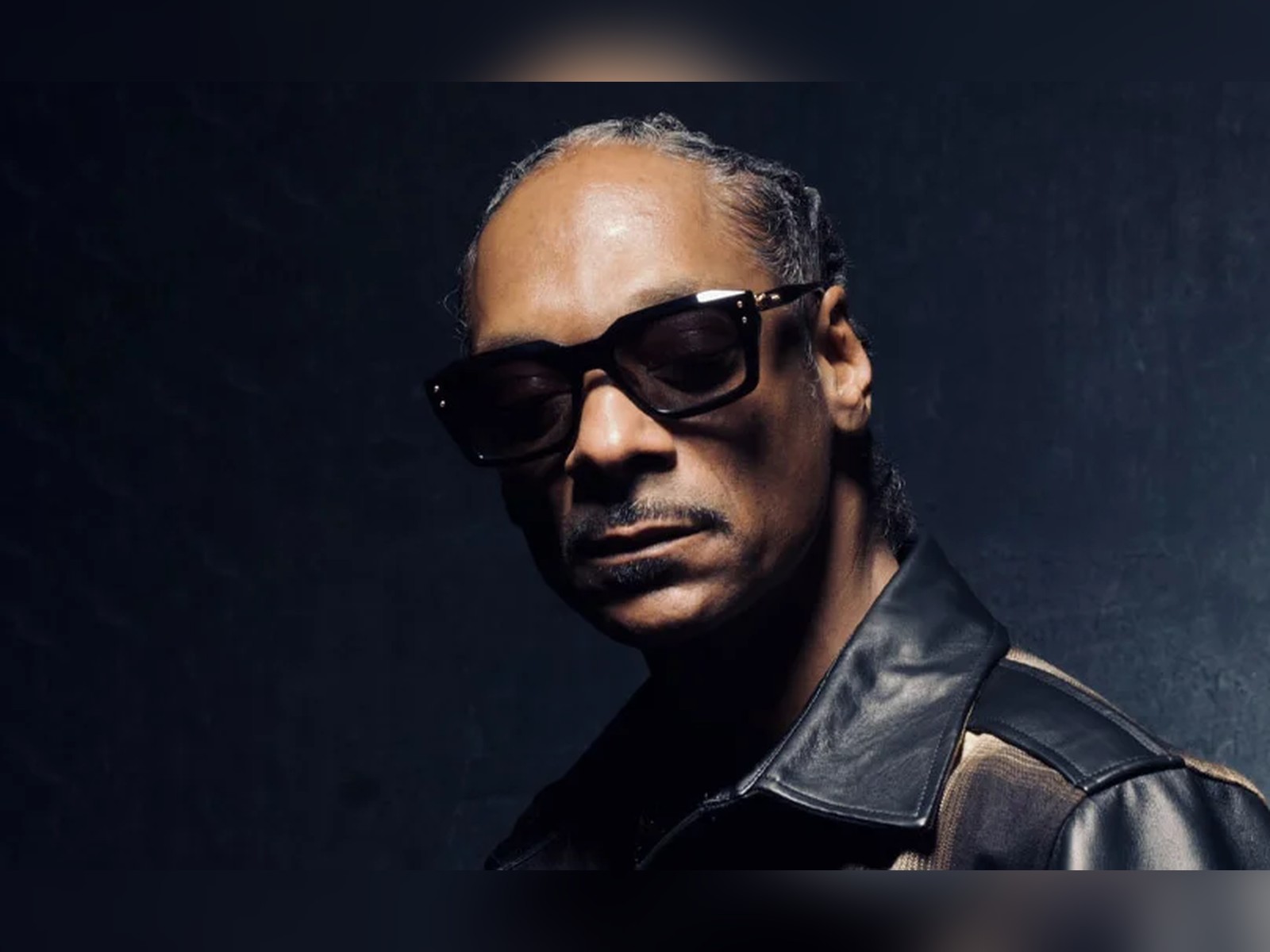 Snoop Dogg at Ravinia — Music event in Hunter Pavilion, Ravinia Festival, Highland Park, IL